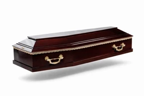 Гроб ГЛ-3Б — фото